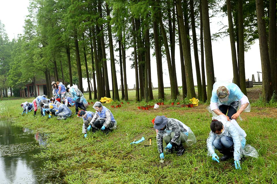 麻将胡了2·(中国区)官方网站-游戏入口