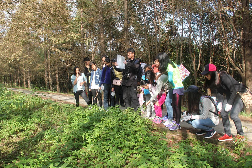 麻将胡了2·(中国区)官方网站-游戏入口