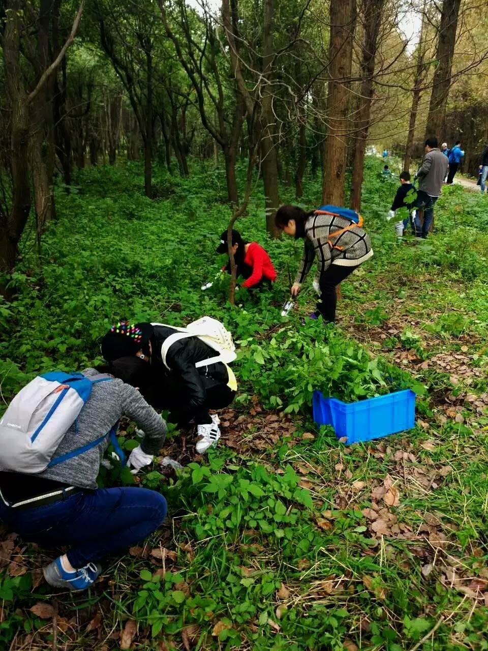 麻将胡了2·(中国区)官方网站-游戏入口