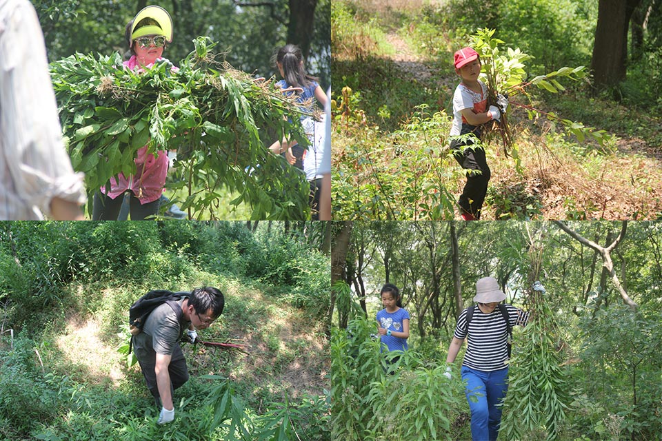 麻将胡了2·(中国区)官方网站-游戏入口