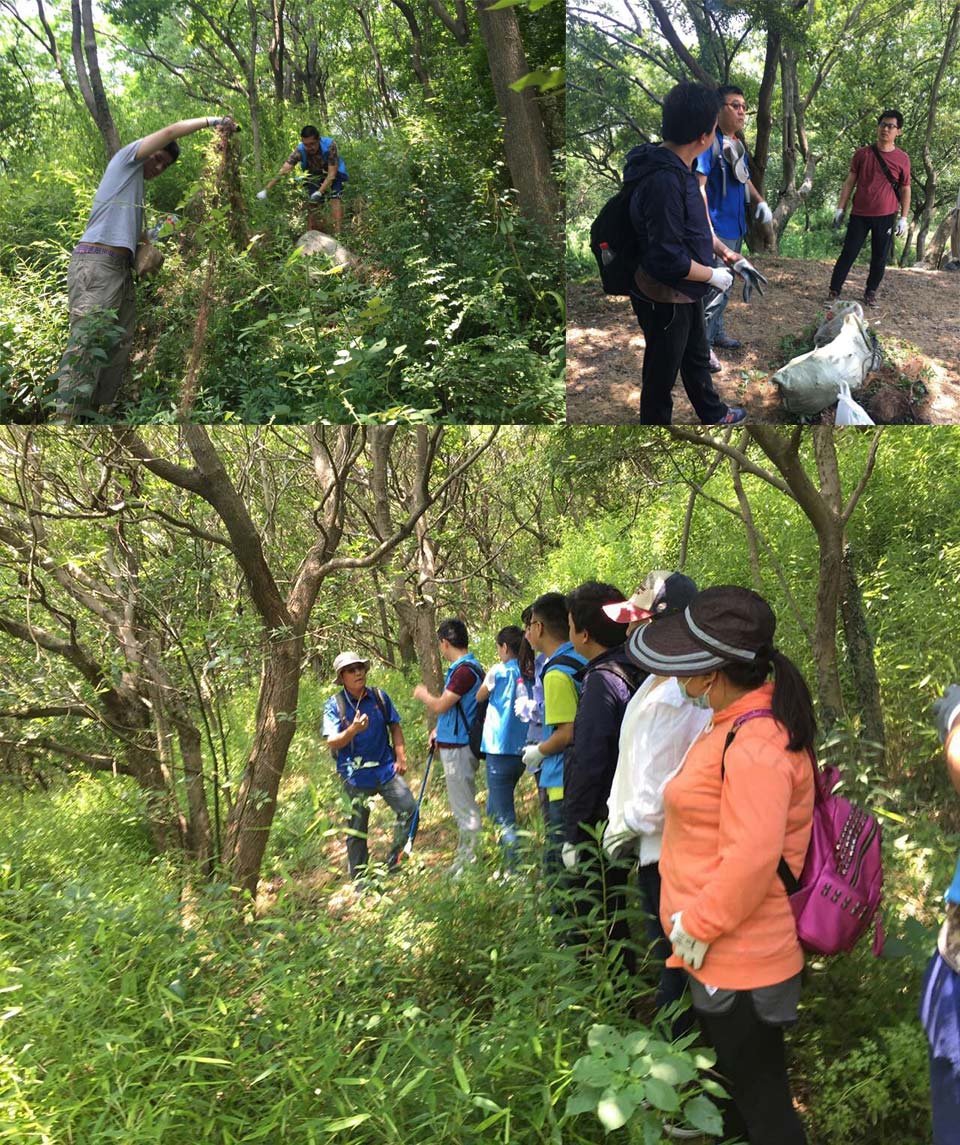 麻将胡了2·(中国区)官方网站-游戏入口